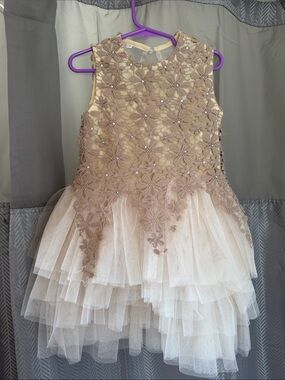 Girls Floral Lace & Tulle Party Dress in Champagne